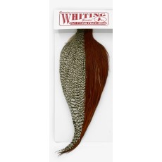 Whiting pro Grade Cape Combo Brown/Grizzly